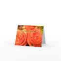 The loss of a Loved One.. cards by SweetRascal The loss of a Loved One.. cards
