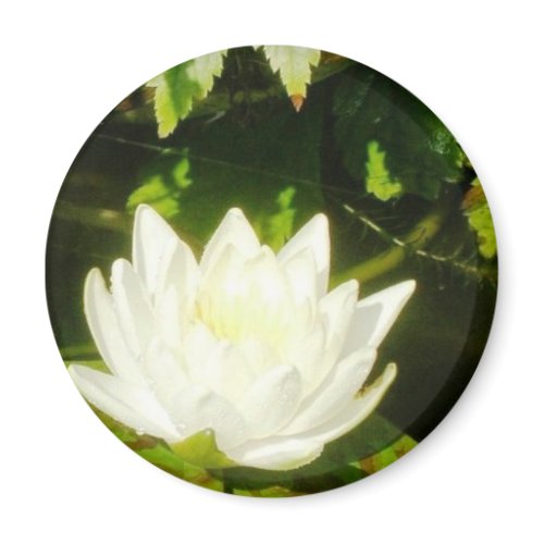 The Lotus Bloomed magnet