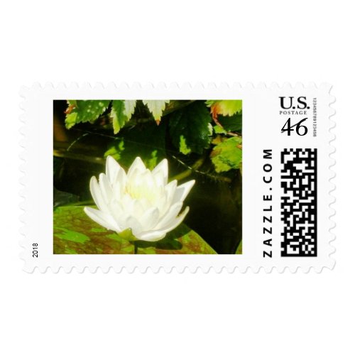 The Lotus Bloomed stamp