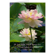 The Lotus dreams 'neath the dreaming s... cards