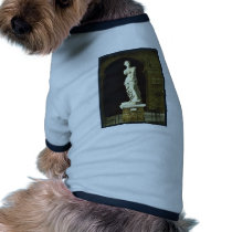 The Louvre, the Venus de Milo, Paris, France class Pet Clothes