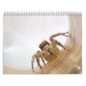 The Love of Bugs calendars