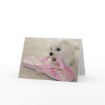 The love of shoes greeting cards