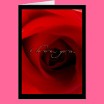 The Love Series cards