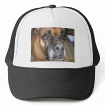 the lovely sadie hats by hallvw the lovely sadie hats