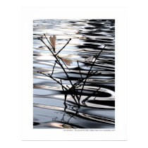 The lovers - Les amants posters by gtran The lovers - Les amants posters