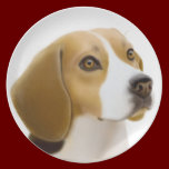 The Loyal Beagle Dog Plate plates