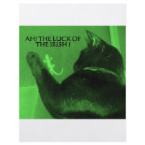 THE LUCK OF THE IRISH FLYERS
