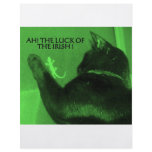 THE LUCK OF THE IRISH flyers