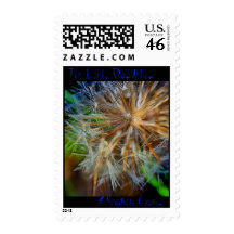 The Lucky Dandelion Postage