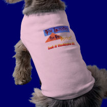 The Lunitics Run The Asylum? Pet Clothing pet clothing by Lotacats The Lunitics Run The Asylum? Pet Clothing pet clothing