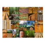 The Magic of Bamboo postcards