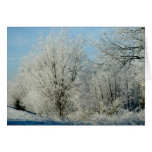 The Magic of Christmas Cards