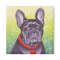The magnetic Lola