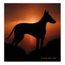 The Magnificent Manchester Terrier posters
