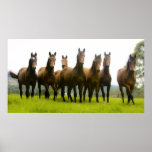 The Magnificent Seven Poster