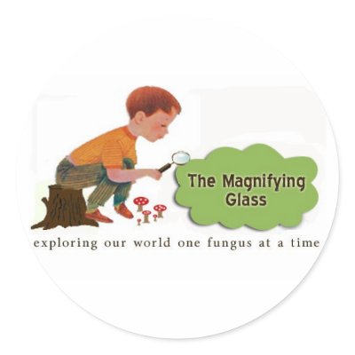 The Magnifying Glass Stickers