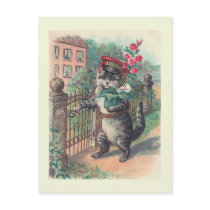 "The Mailman" Vintage Cat Postcard