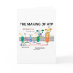 The Making Of ATP (Light-Dependent Photosynthesis) Card