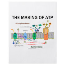 The Making Of ATP (Light-Dependent Photosynthesis) flyers by wordsunwords The Making Of ATP (Light-Dependent Photosynthesis) flyers