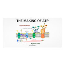 The Making Of ATP (Light-Dependent Photosynthesis) photo cards by wordsunwords The Making Of ATP (Light-Dependent Photosynthesis) photo cards
