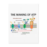 The Making Of ATP (Light-Dependent Photosynthesis) Post Cards