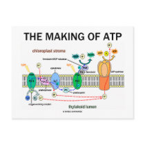 The Making Of ATP (Light-Dependent Photosynthesis) postcards by wordsunwords The Making Of ATP (Light-Dependent Photosynthesis) postcards