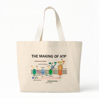 The Making Of ATP (Photosynthetic Attitude) bag