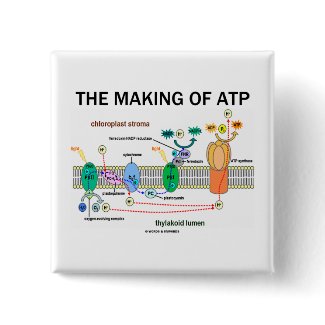 The Making Of ATP (Photosynthetic Attitude) button