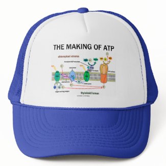The Making Of ATP (Photosynthetic Attitude) hat