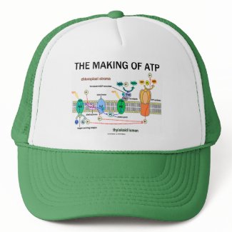 The Making Of ATP (Photosynthetic Attitude) hat