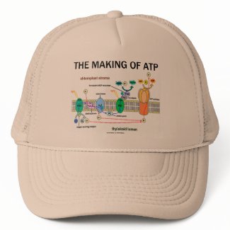 The Making Of ATP (Photosynthetic Attitude) hat