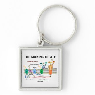 The Making Of ATP (Photosynthetic Attitude) keychain