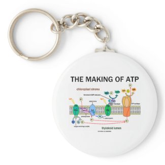 The Making Of ATP (Photosynthetic Attitude) keychain
