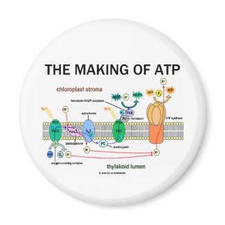 The Making Of ATP (Photosynthetic Attitude) magnet