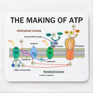 The Making Of ATP (Photosynthetic Attitude) mousepad