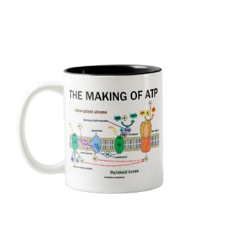 The Making Of ATP (Photosynthetic Attitude) mug