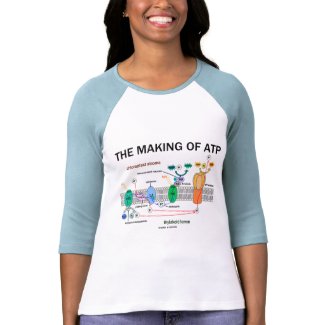 The Making Of ATP (Photosynthetic Attitude) shirt