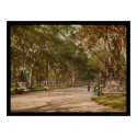 The Mall Central Park NYC 1900 posters by lc_vintagephotos The Mall Central Park NYC 1900 posters