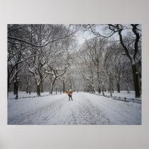 The Mall in Winter, Central Park, NYC, Medium Poster