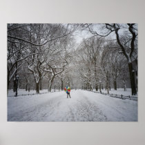 The Mall in Winter, Central Park, NYC, Small Posters