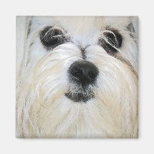 The Maltese Refrigerator Magnet