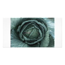 The Many Greens of Summer Customized Photo Card