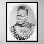 The Maori King of New Zealand 1895 posters
