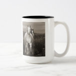 The Mares at Liberty mugs