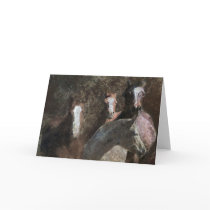 The Mares cards
