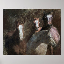 "The Mares" posters