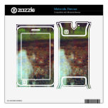 The Marsh by Gustav Klimt Motorola Devour Skin