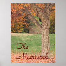 The Matriarch Print