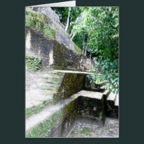 The Mayan Angle cards